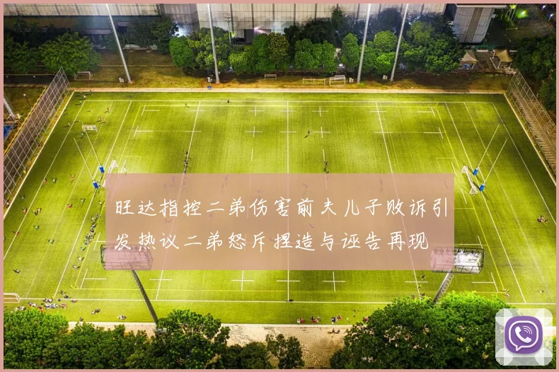 旺达指控二弟伤害前夫儿子败诉引发热议二弟怒斥捏造与诬告再现