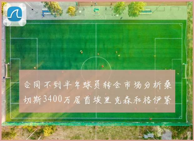 合同不到半年球员转会市场分析桑切斯3400万居首埃里克森和格伊紧随其后