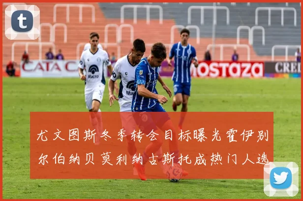 尤文图斯冬季转会目标曝光霍伊别尔伯纳贝莫利纳古斯托成热门人选