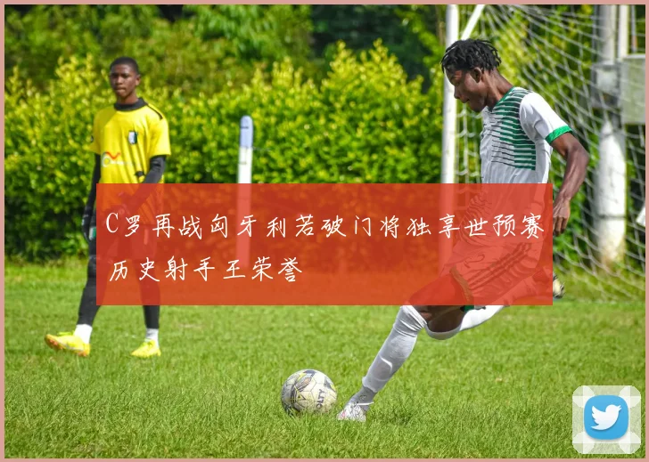 C罗再战匈牙利若破门将独享世预赛历史射手王荣誉