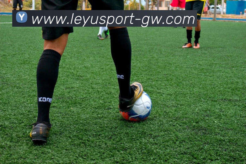 多媒体互动体验